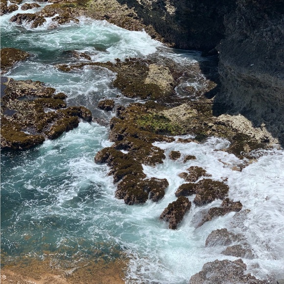 Meet your Posher, Marley - Picture 5 of 11